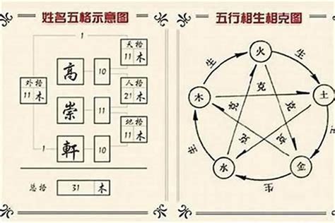 王字五行|王字的五行属什么